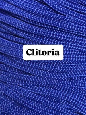 Clitoria