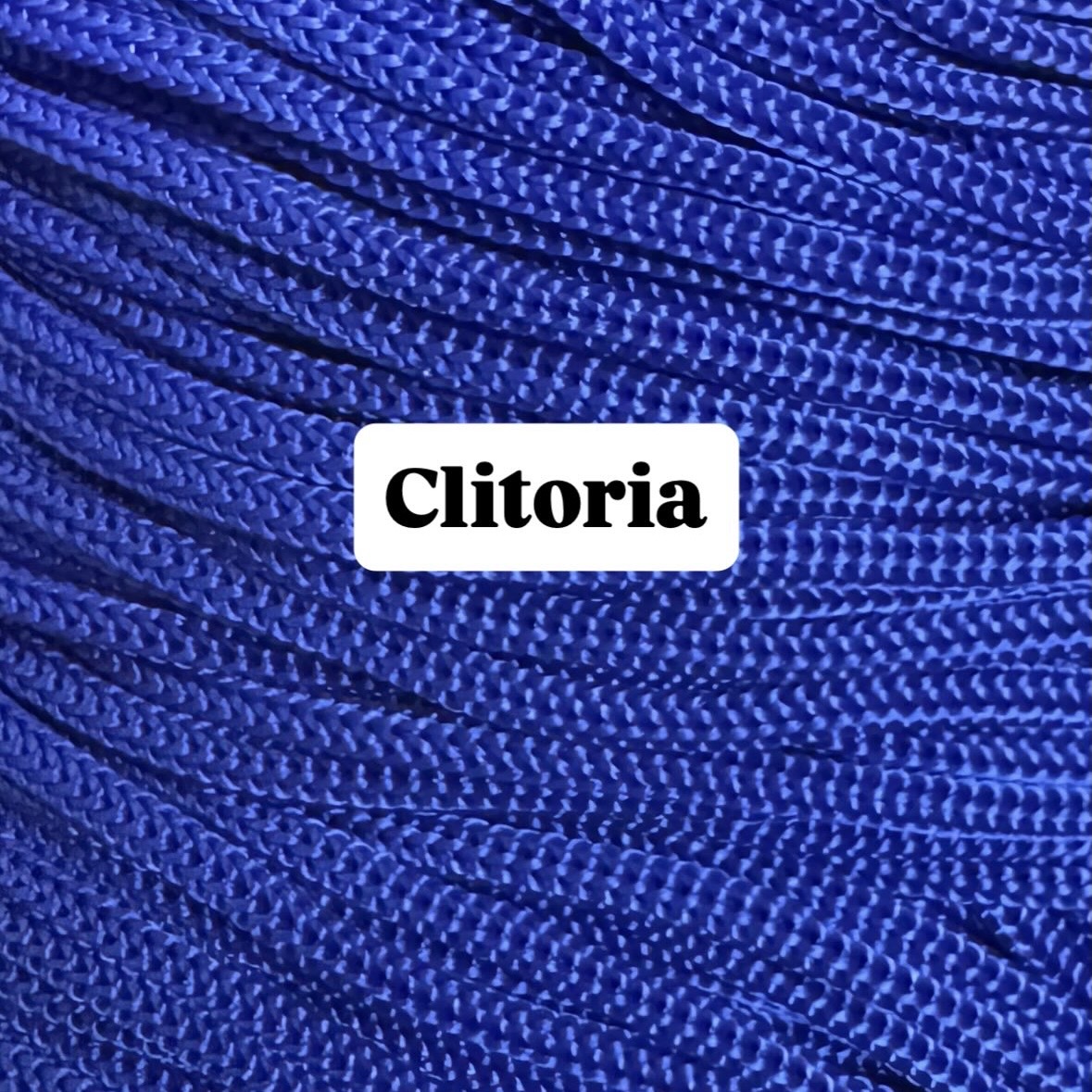 Clitoria