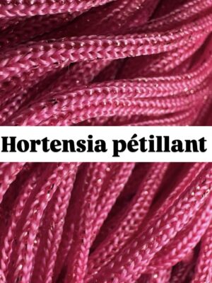 Hortensia pétillant