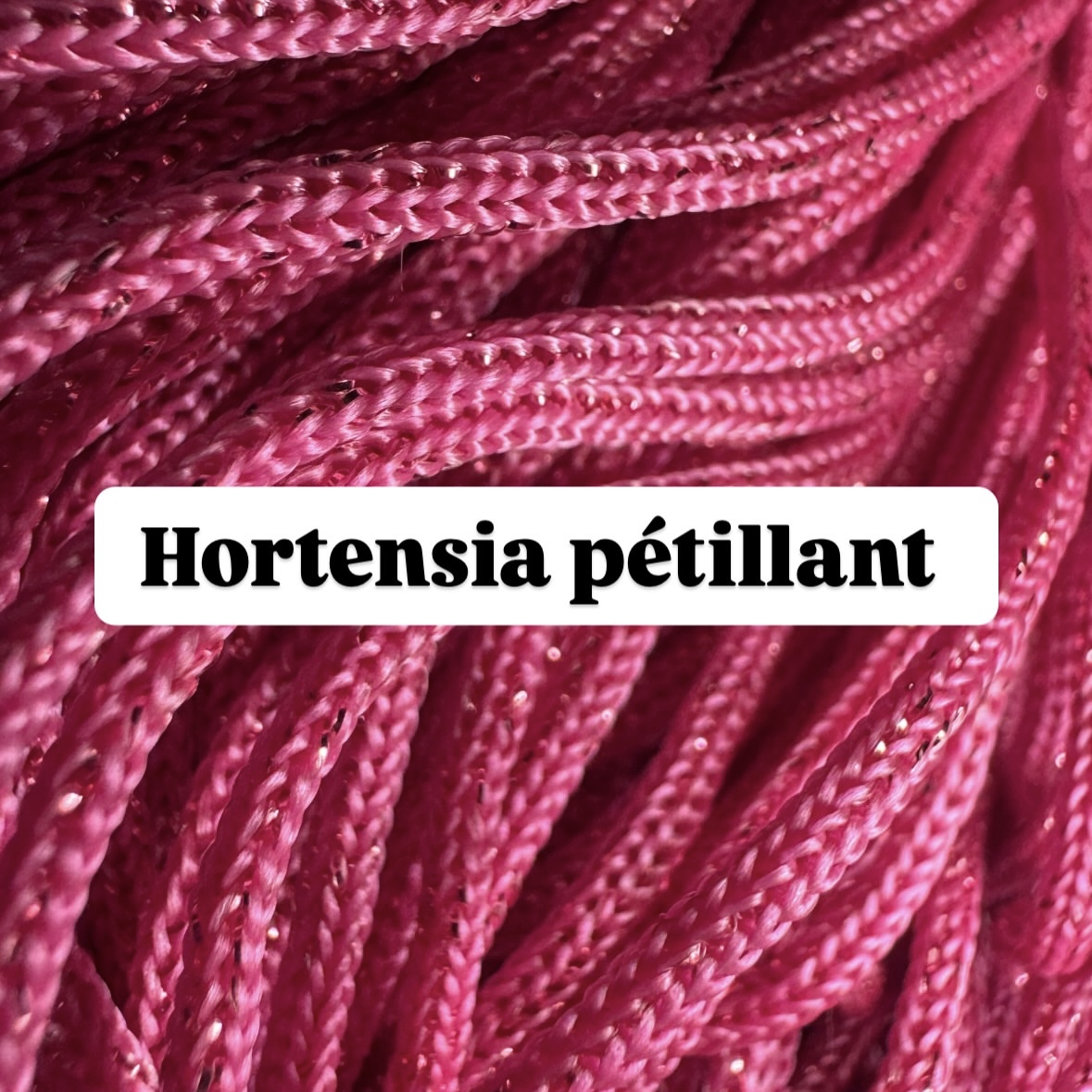 Hortensia pétillant