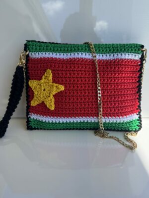 IMG_1975 Pochette Drapeau