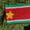 Pochette Drapeau